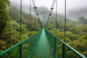 whatsapp image 2026 02 19 at 5.44.49 pm (2)