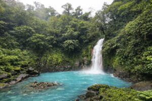 whatsapp image 2026 02 19 at 5.44.49 pm